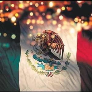 Meet your Posher, Fernando